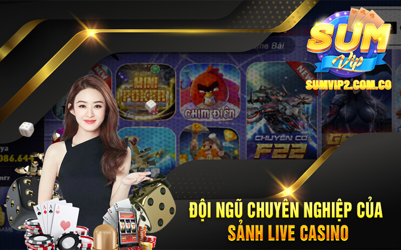 Đội Ngũ Chuyên Nghiệp Của Sảnh Live Casino