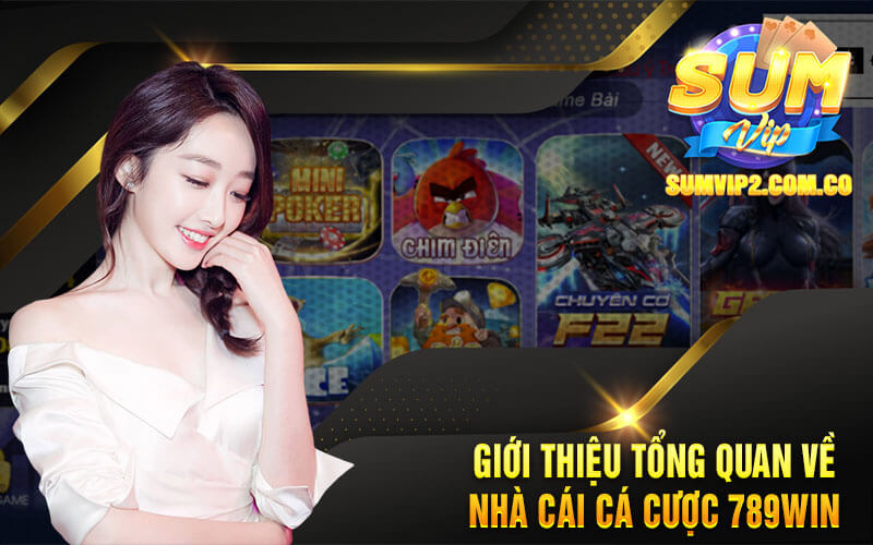 Giới Thiệu Tổng Quan Về Nhà Cái Cá Cược 789win