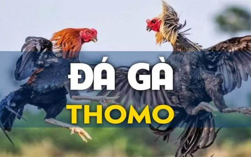 https://banklocater.com/da-ga-thomo/